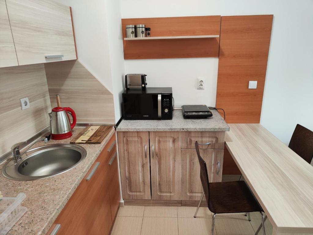 Kuchyň nebo kuchyňský kout v ubytování Bansko Belvedere Apartament