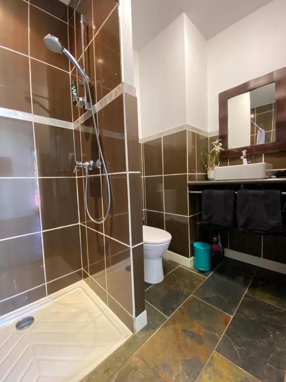 Koupelna v ubytování Chambre SOKA