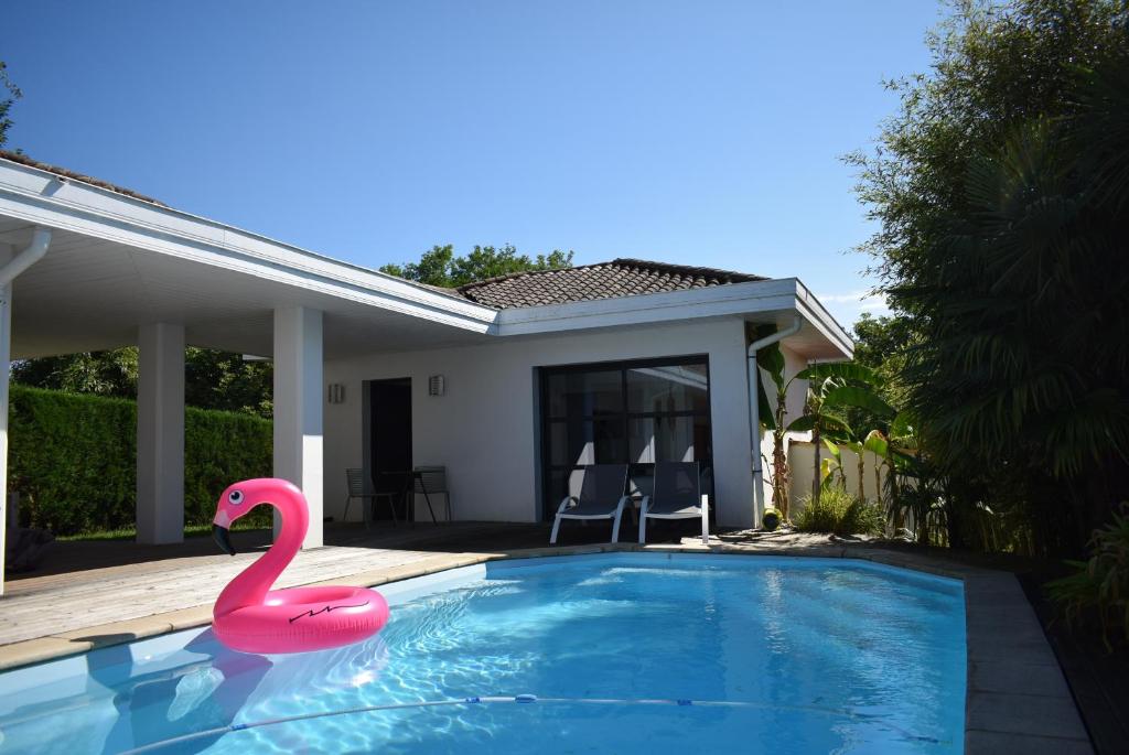 un flamenco rosa en una piscina junto a una casa en Chambre SOKA, en Urrugne