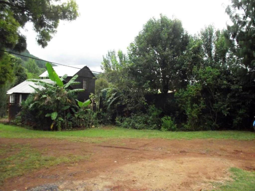 a yard with a house and trees and a dirt road at Sabie Gypsy's Backpackers in Sabie