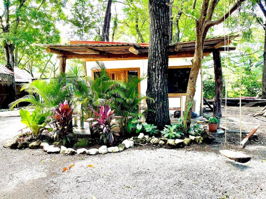 uma pequena casa com uma árvore e algumas plantas em A Nature Lovers Paradise! - Iona Villas em Sámara