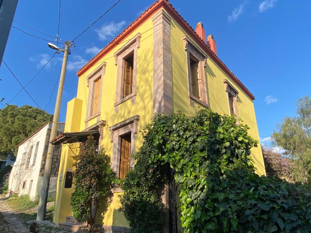 une ancienne maison jaune et verte avec des vignes dans l'établissement Stone House with Garden in Cunda/Ayvalik, à Ayvalık