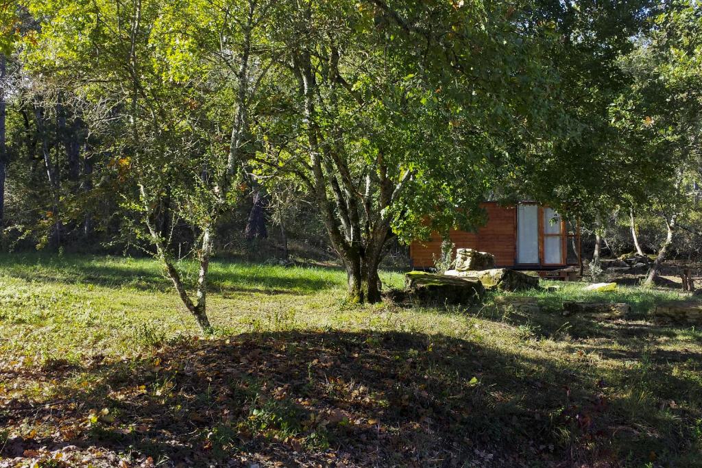 dom na środku pola z drzewami w obiekcie Agricampeggio Madonna di Pogi w mieście Bucine