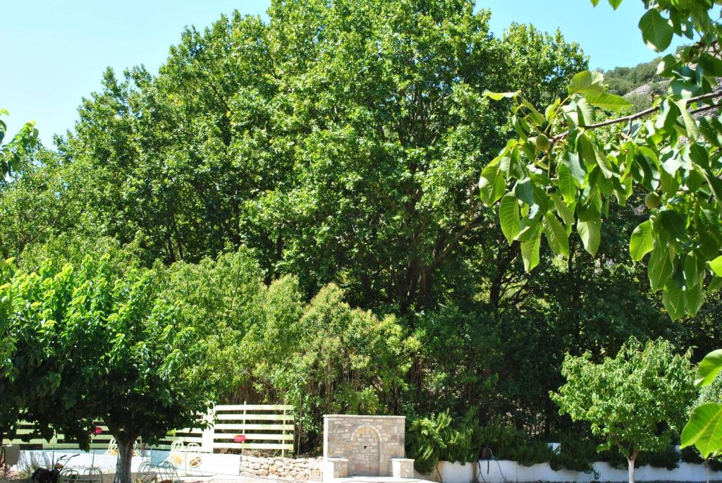 Zahrada ubytování Guesthouse Eleftherios