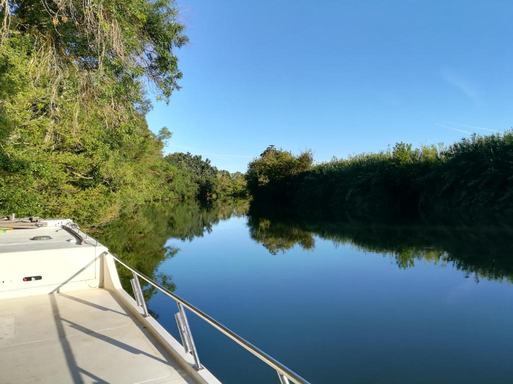 un barco en un río con árboles a un lado en BATEAU - Jolie pénichette sur région touristique. en Bellegarde