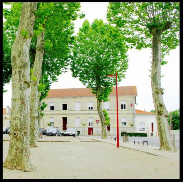 レスパール・メドックにあるBureau Lesparre-médoc, l'estuaireの建物前の木々
