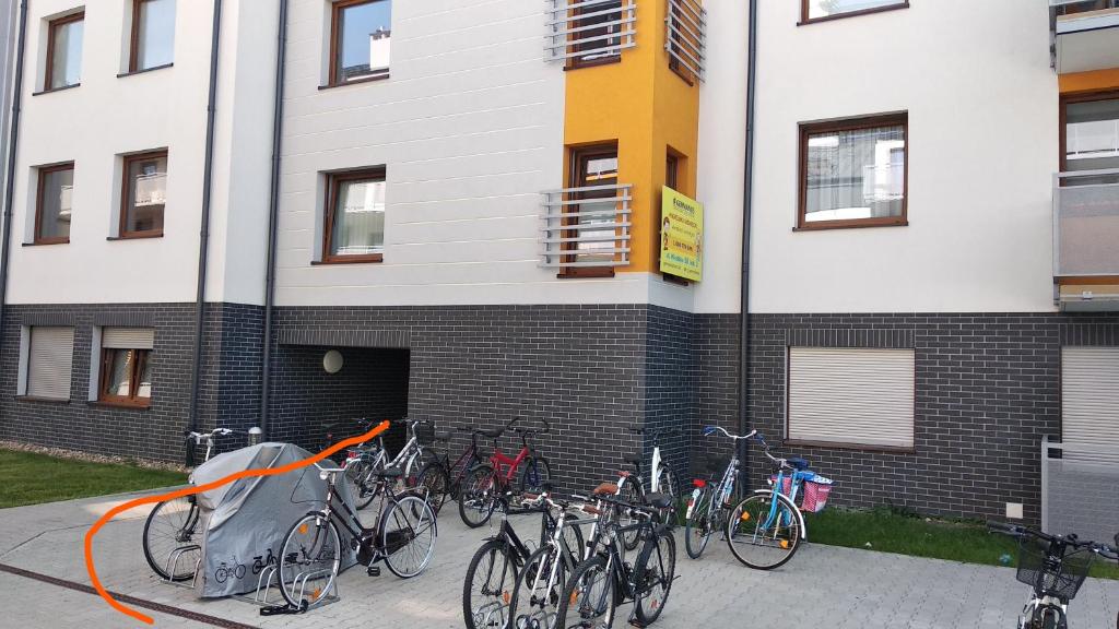 Jazda na bicykli v okolí ubytovania Studio LUX Gaj by Apartamenty na dni Wrocław