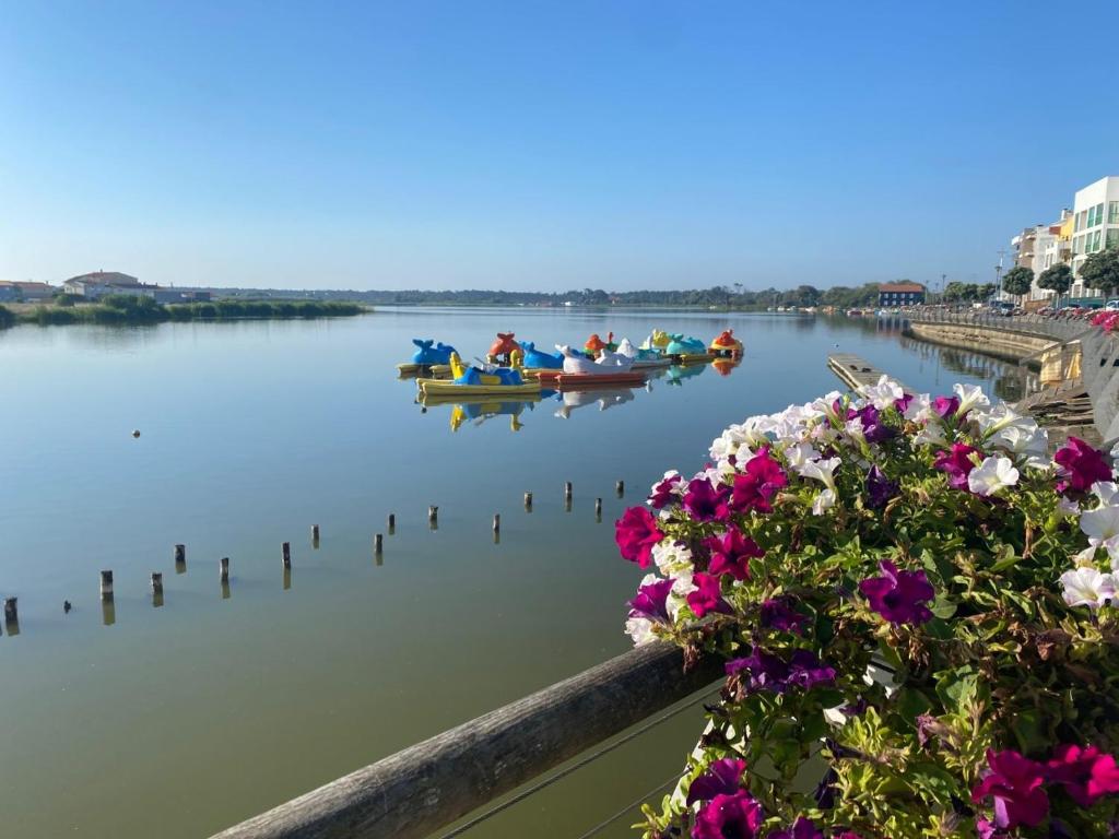 un gruppo di barche su un fiume con fiori di Pé n'areia a Praia de Mira