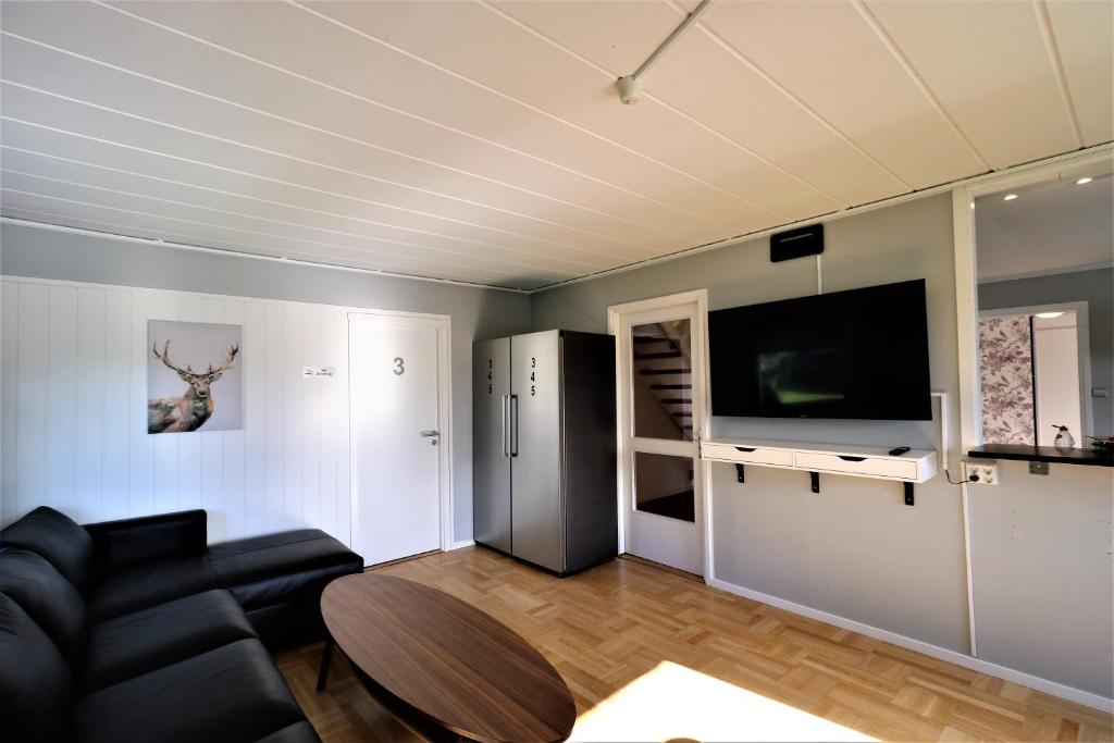 TV a/nebo společenská místnost v ubytování RIBO Apartment Arctic