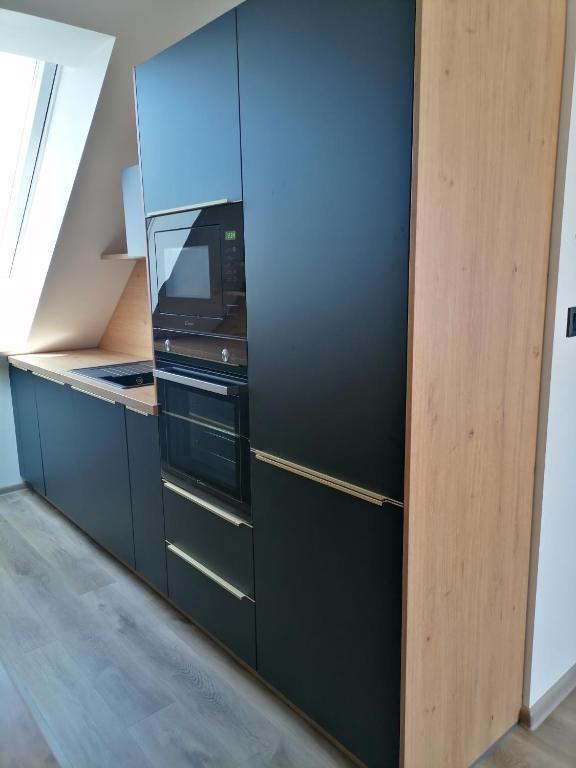 Kuchyň nebo kuchyňský kout v ubytování Apartmány Pod Novou