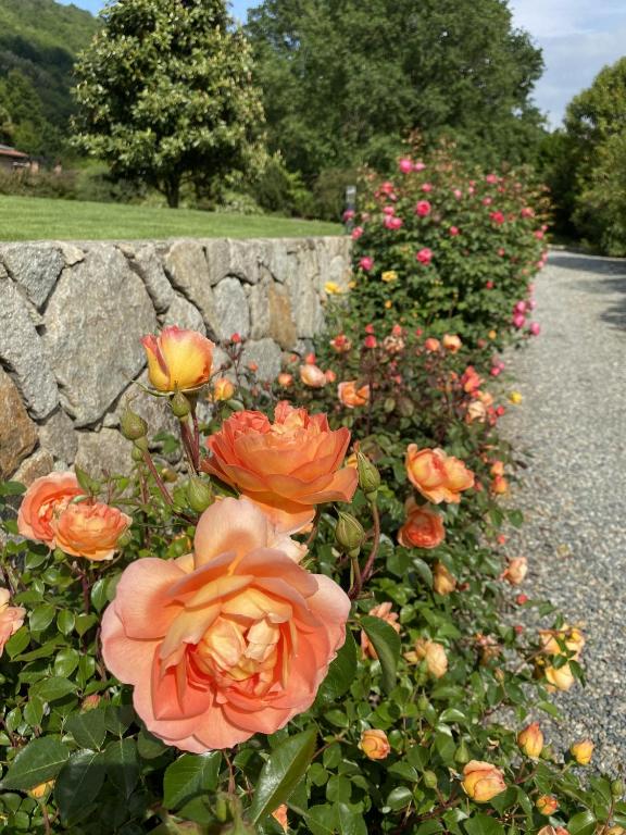 Een tuin van MyVilla B&B