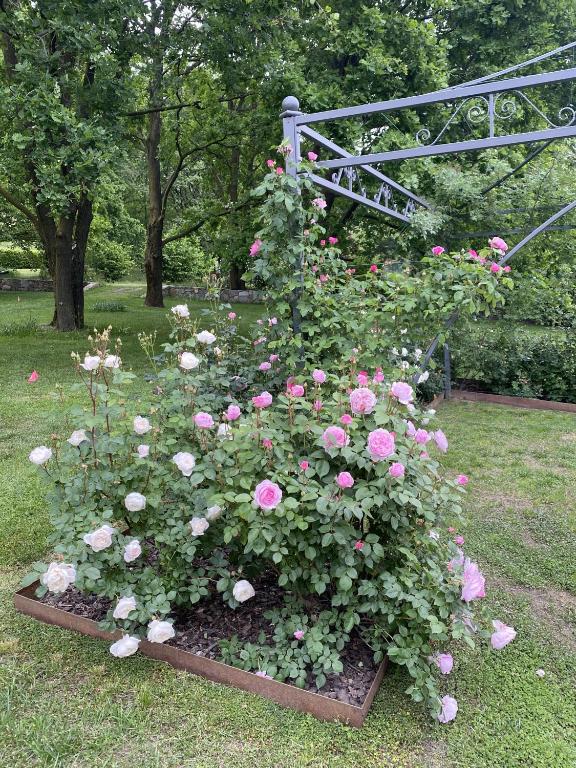 Een tuin van MyVilla B&B