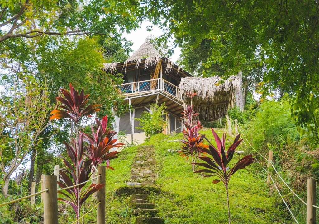 une maison au toit de chaume dans la forêt dans l'établissement Minca Ecohabs Hotel, à Minca