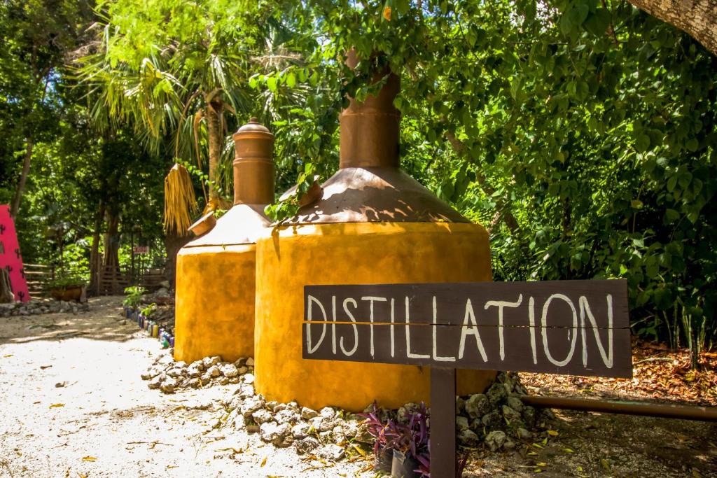 Certifikát, hodnocení, plakát nebo jiný dokument vystavený v ubytování Hotel Tequila Cancun