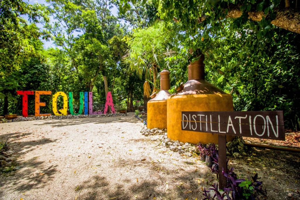 Fotografie z fotogalerie ubytování Hotel Tequila Cancun v destinaci Cancún
