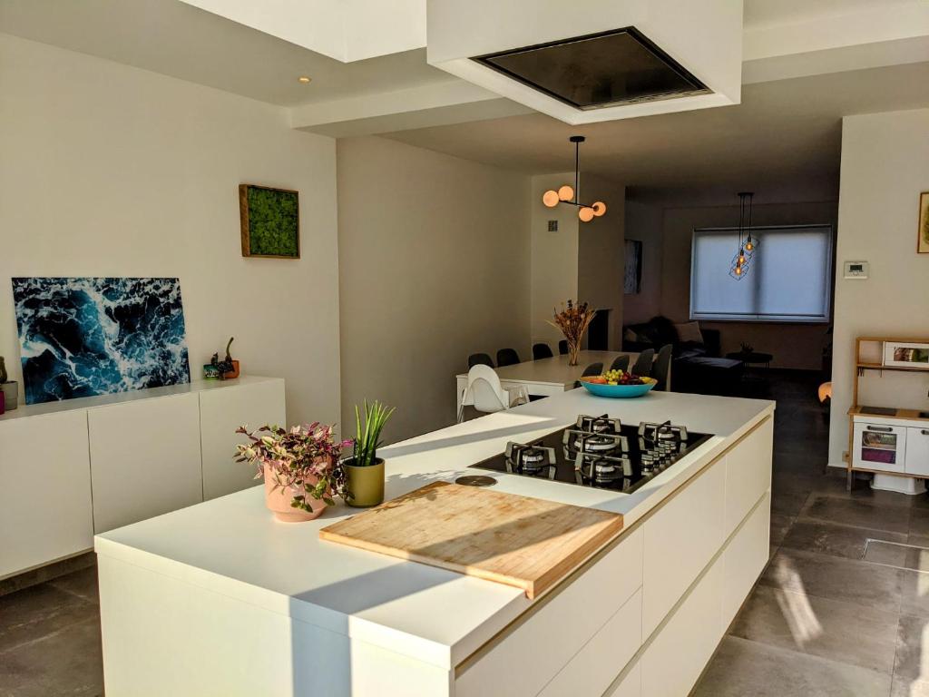 een keuken met een kookplaat in een kamer bij House 45 in Oostende