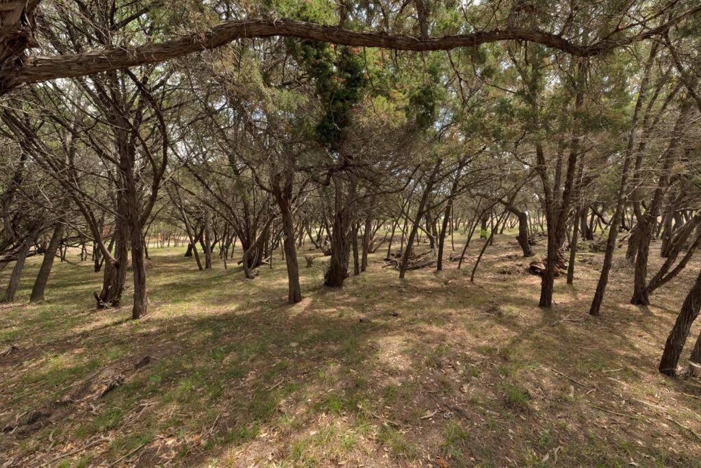 a group of trees in a field with grass at Fox Tiny Home - The Cabins at Rim Rock in Austin
