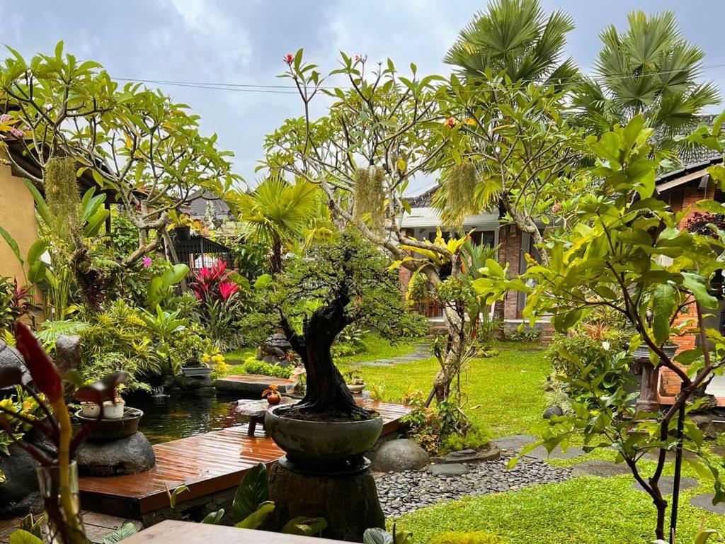 Zahrada ubytování BatanTop Ubud guest house