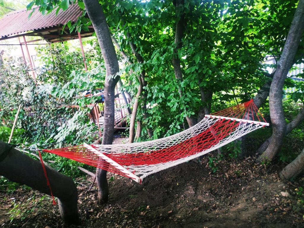 a red hammock hanging from a tree in a garden at Shale Qusar in Qusar
