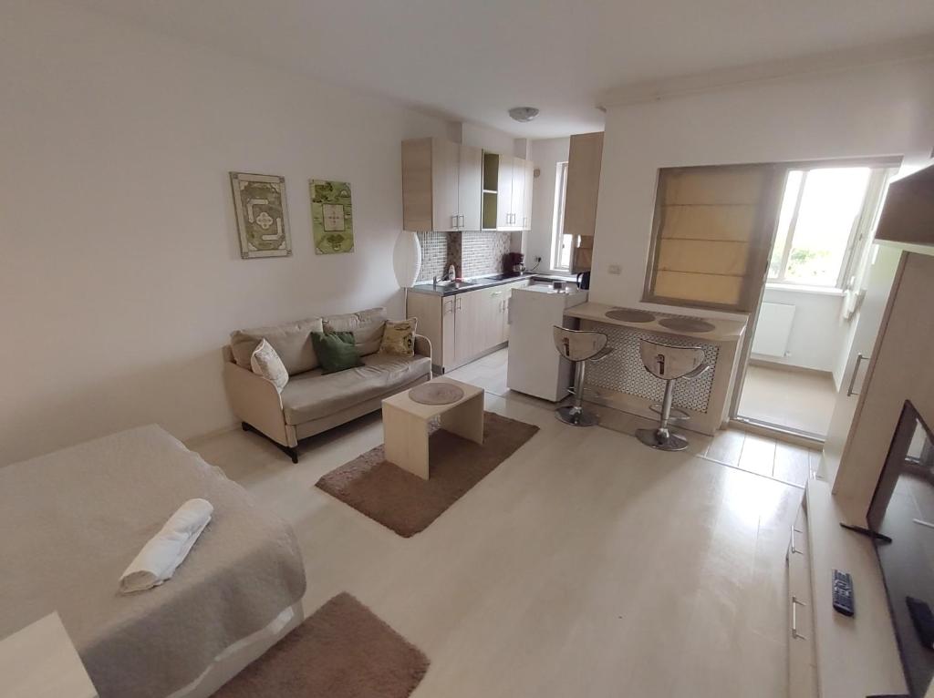 un soggiorno con divano e cucina di Complex Garsoniere Fundeni a Bucarest