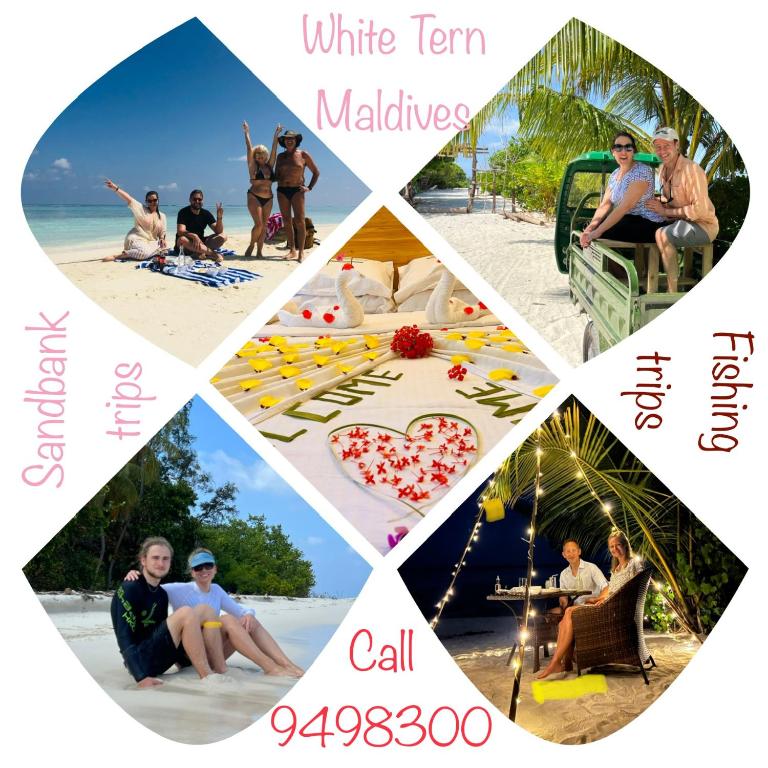 Fotografie z fotogalerie ubytování White Tern Maldives v destinaci Fenfushi