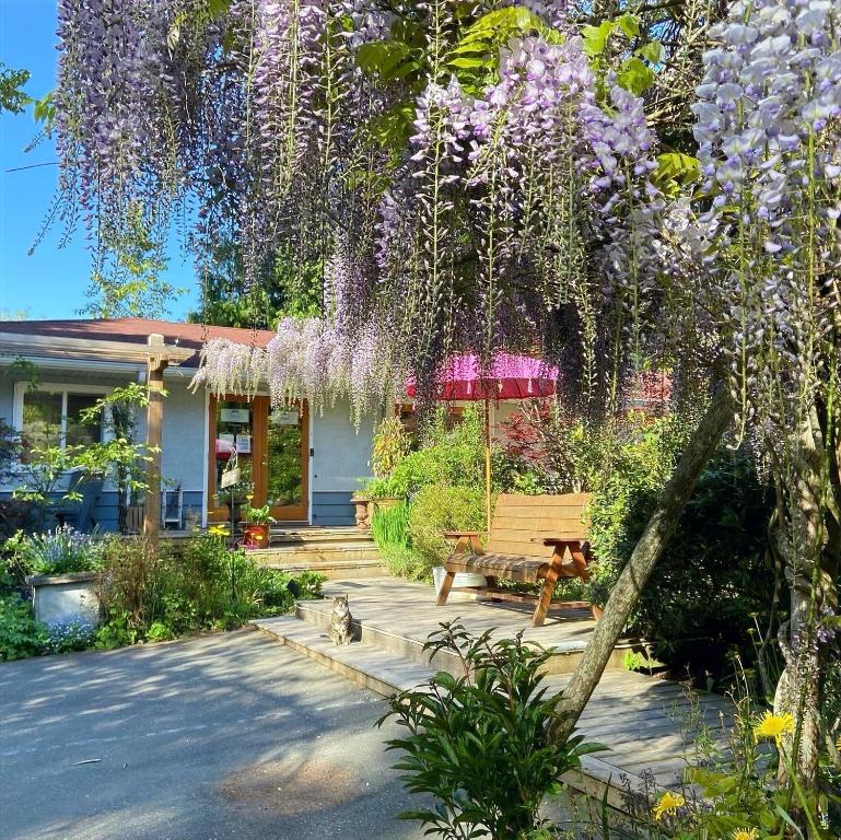 a house with a bench and a tree with wisterias at Wisteria Guest House in Ganges