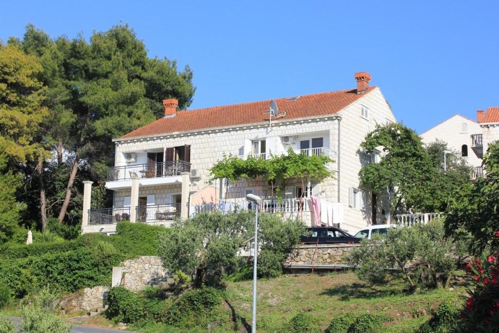 Vonkajšia záhrada v ubytovaní Apartments with a parking space Cavtat, Dubrovnik - 9041