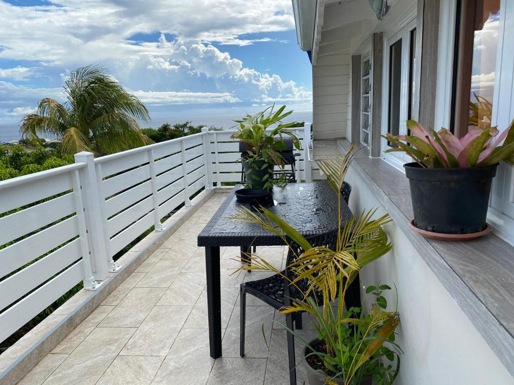 a balcony with a table and potted plants on it at Nuits étoilés in Baillif