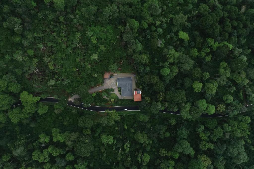 una vista aerea di una casa nel mezzo di una foresta di StayVista at The Haven - Grandeur with Breakfast & BBQ Grill a Madikeri