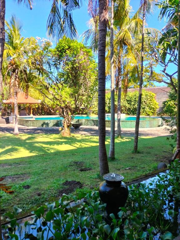 Hotel SeaSide lovina - Villa De Lujo
