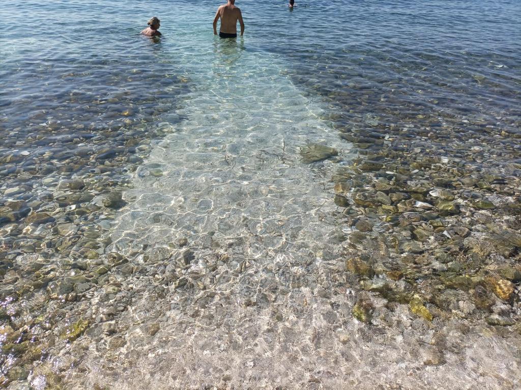Príroda v okolí penziónu