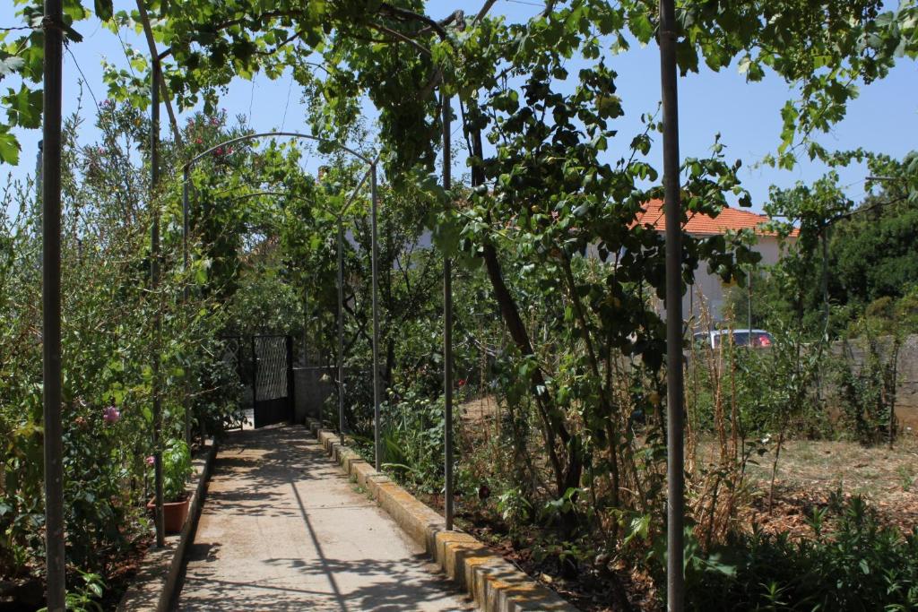 Vonkajšia záhrada v ubytovaní Apartments by the sea Verunic, Dugi otok - 8104