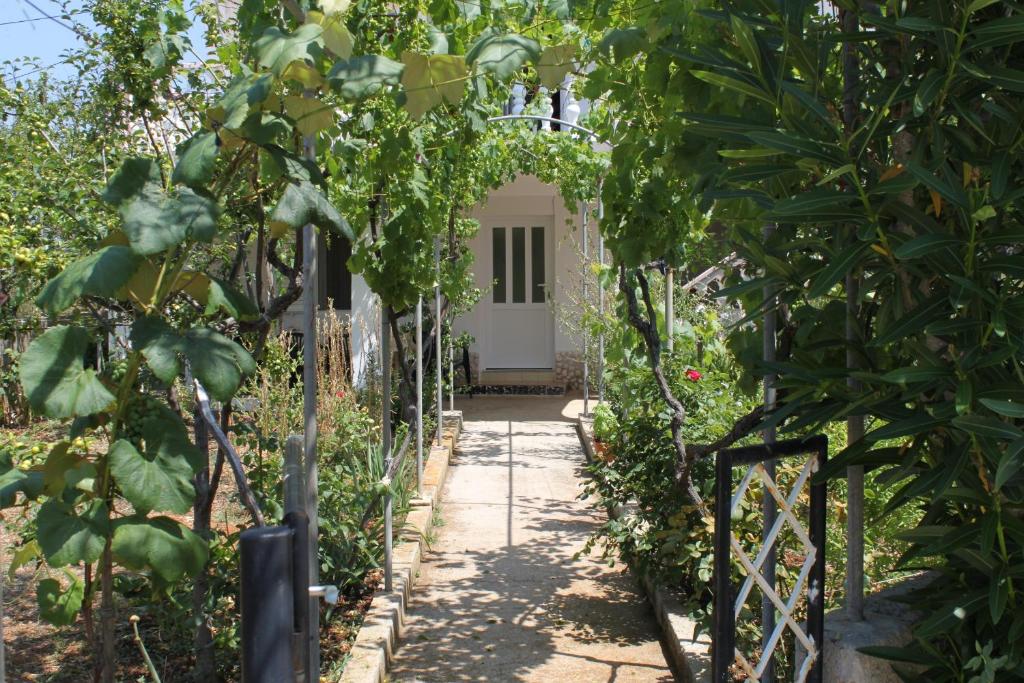 Vonkajšia záhrada v ubytovaní Apartments by the sea Verunic, Dugi otok - 8104