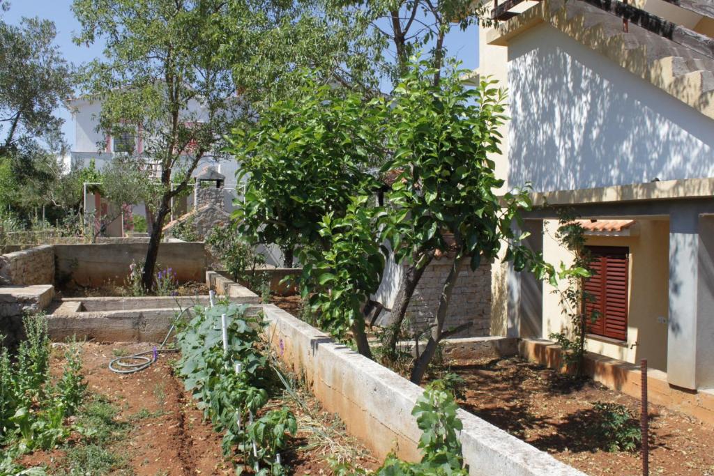 Vonkajšia záhrada v ubytovaní Apartments with a parking space Sali, Dugi otok - 8152