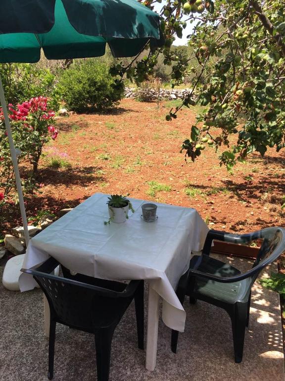 Vonkajšia záhrada v ubytovaní Apartments with a parking space Bozava, Dugi otok - 8108