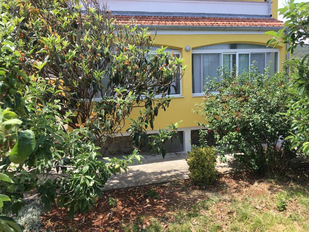 Vonkajšia záhrada v ubytovaní Apartments with a parking space Bozava, Dugi otok - 8108