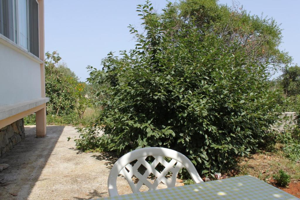 Vonkajšia záhrada v ubytovaní Apartments with a parking space Bozava, Dugi otok - 8108