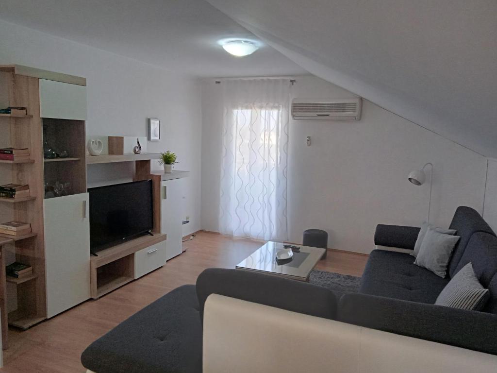 Televízia a/alebo spoločenská miestnosť v ubytovaní Apartments with a parking space Sali, Dugi otok - 8154