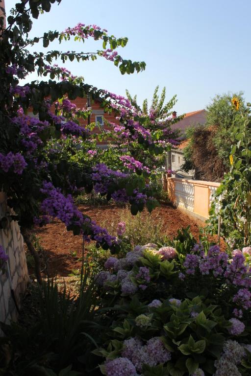 Vonkajšia záhrada v ubytovaní Apartments with a parking space Sali, Dugi otok - 8153