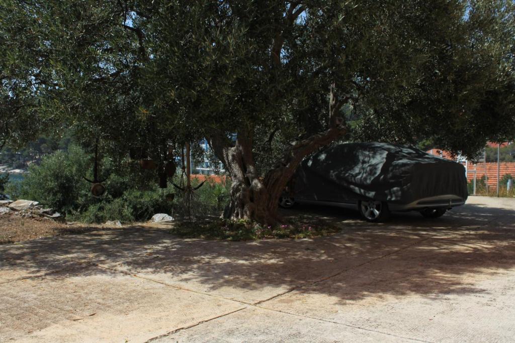 a black car is parked under a tree at Apartments with a parking space Bozava, Dugi otok - 8124 in Božava