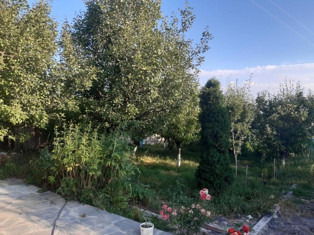 Zahrada ubytování Guest House Sevan
