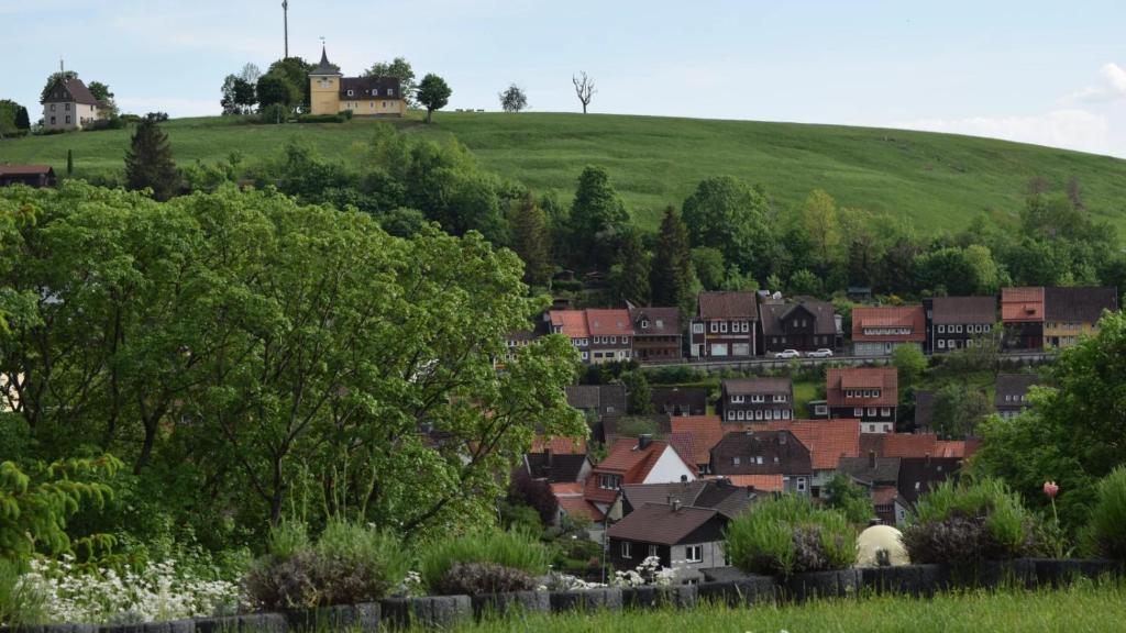 un village sur une colline avec des maisons et des arbres dans l'établissement Glockenturmblick, à Sankt-Andreasberg