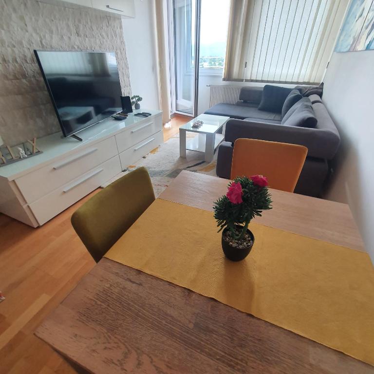 TV a/nebo společenská místnost v ubytování Apartment Lasta