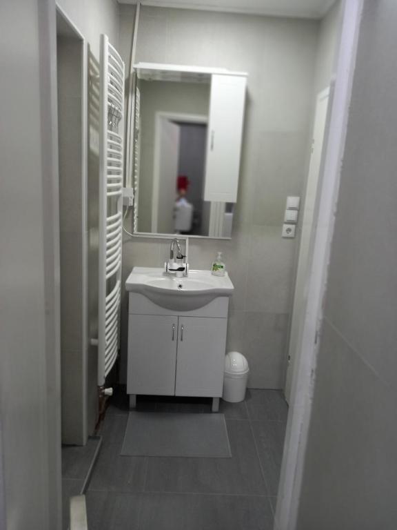Kúpeľňa v ubytovaní Apartmani Dubrava 3