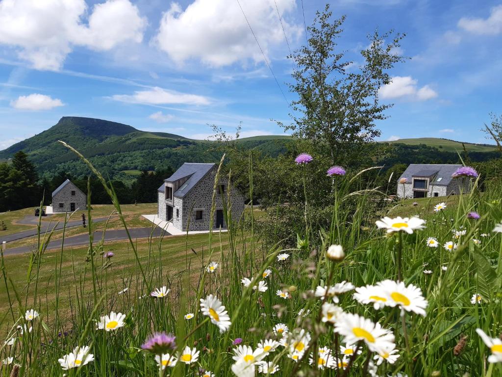 a field of flowers in front of a house at Les Burons du Mont-Dore in Le Mont-Dore