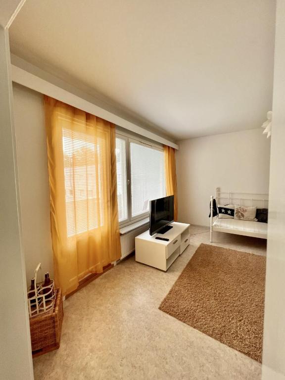 TV a/nebo společenská místnost v ubytování Apartment Punakettu