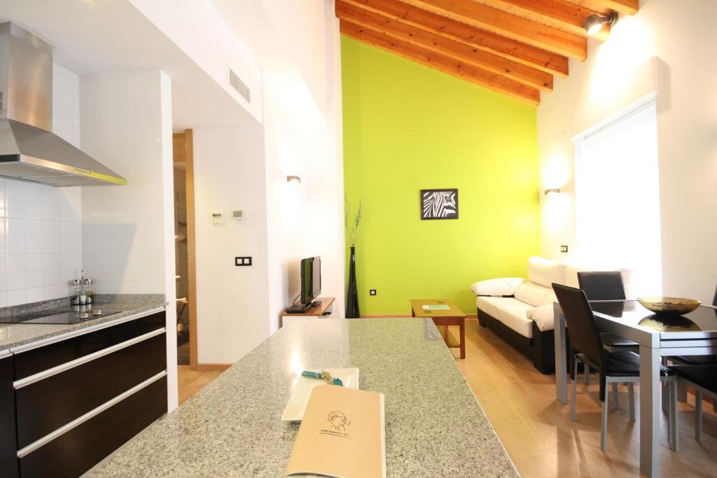 Kuchyň nebo kuchyňský kout v ubytování Apartamentos Tito San Agustin