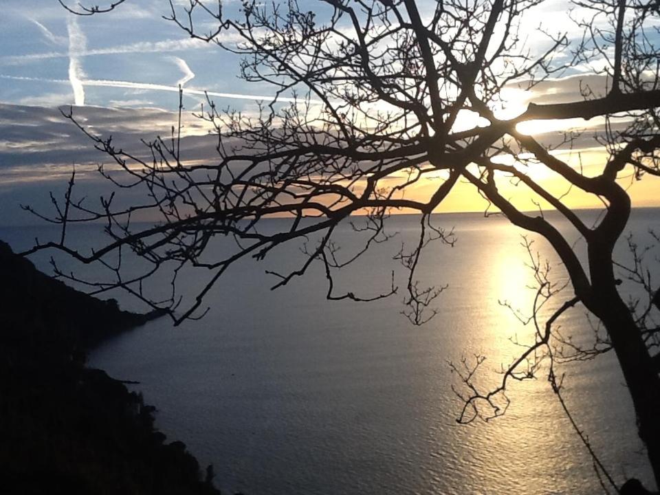a sunset over the water with a tree at BBQ Lodge in Camogli