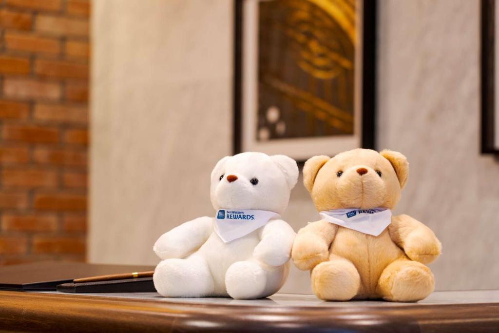 Fotografie z fotogalerie ubytování Best Western Hotel Fino Shin-Yokohama v destinaci Jokohama