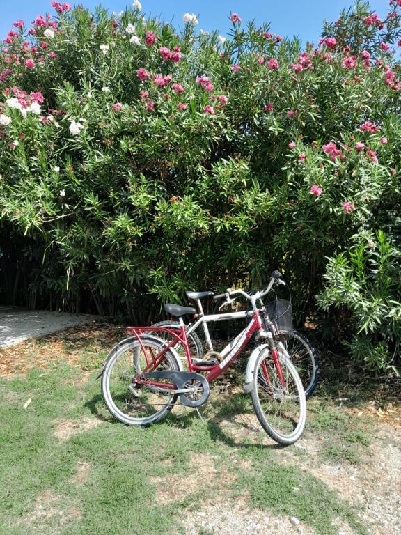 two bikes parked next to a bush with pink flowers at Villa Menta in Lefkada Town